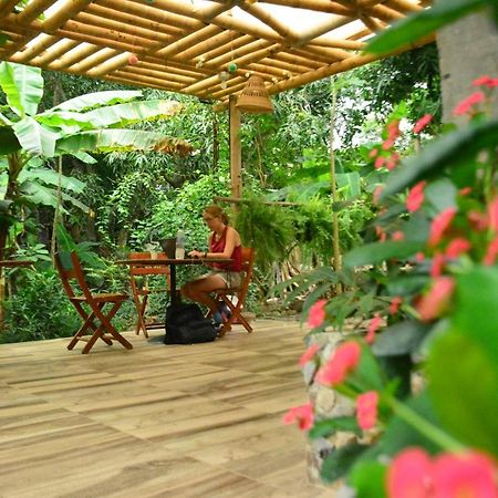 La Percha Hostal بالومينو المظهر الخارجي الصورة