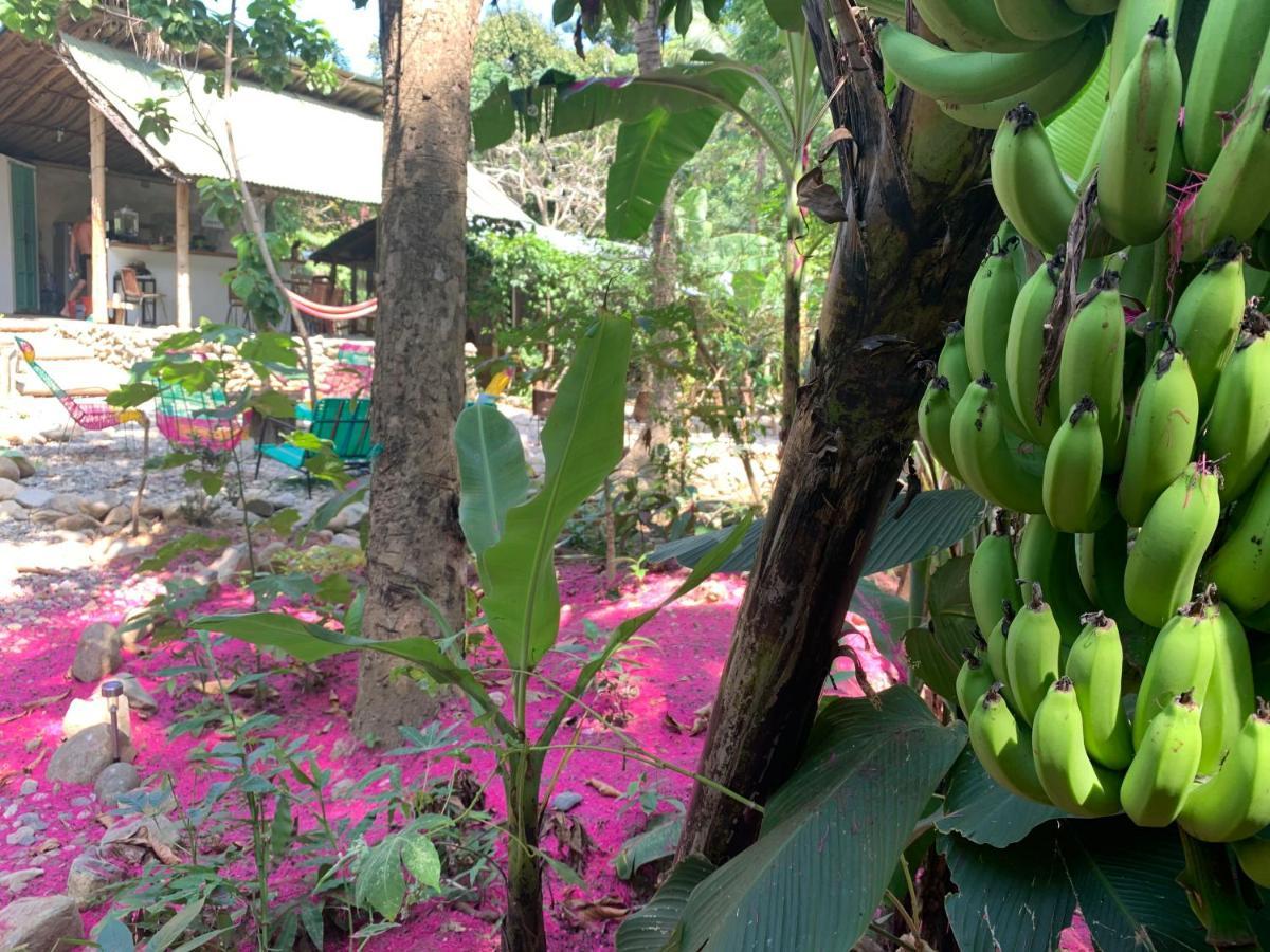 La Percha Hostal بالومينو المظهر الخارجي الصورة